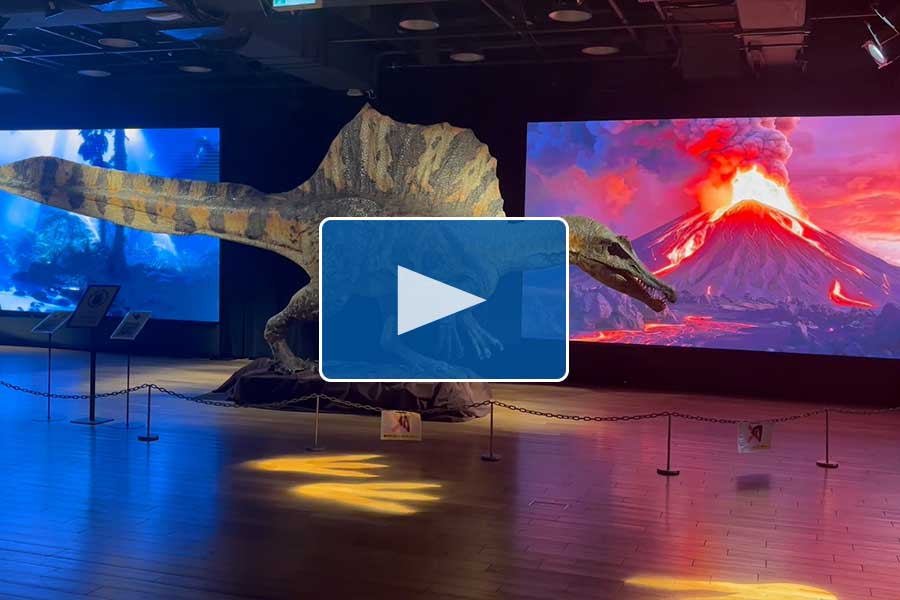 1_レインボービジョン動画