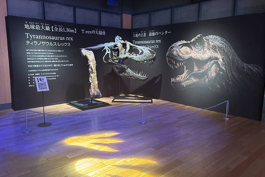 大迫力の巨大展示物もストレッチスタンド2台でしっかり演出
