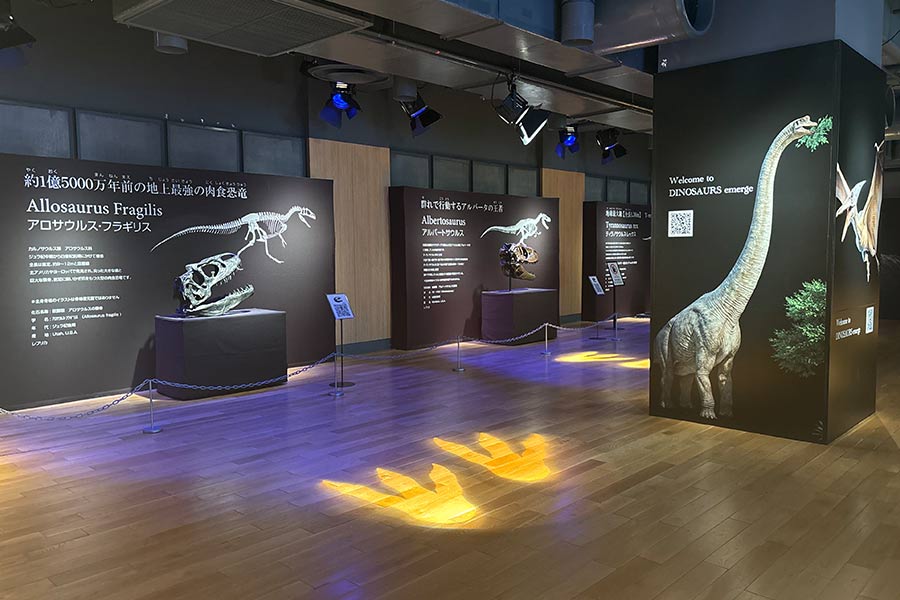 柱もシートで装飾して空間演出ツールに