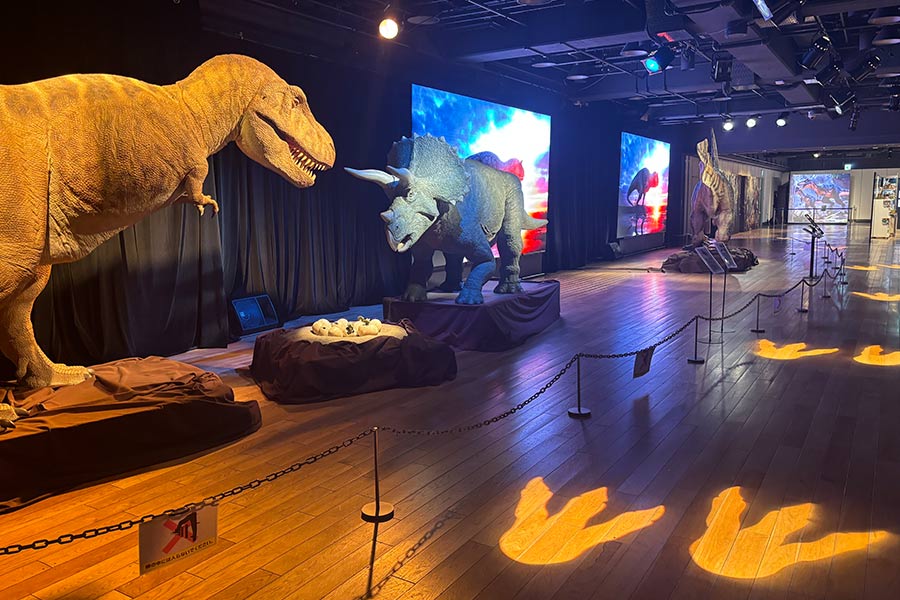 大画面レインボービジョンなので遠目からでも目立つ