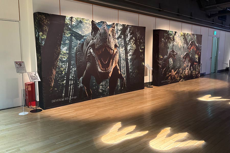 大きなバックパネルは恐竜イベントの撮影の背景にもぴったり