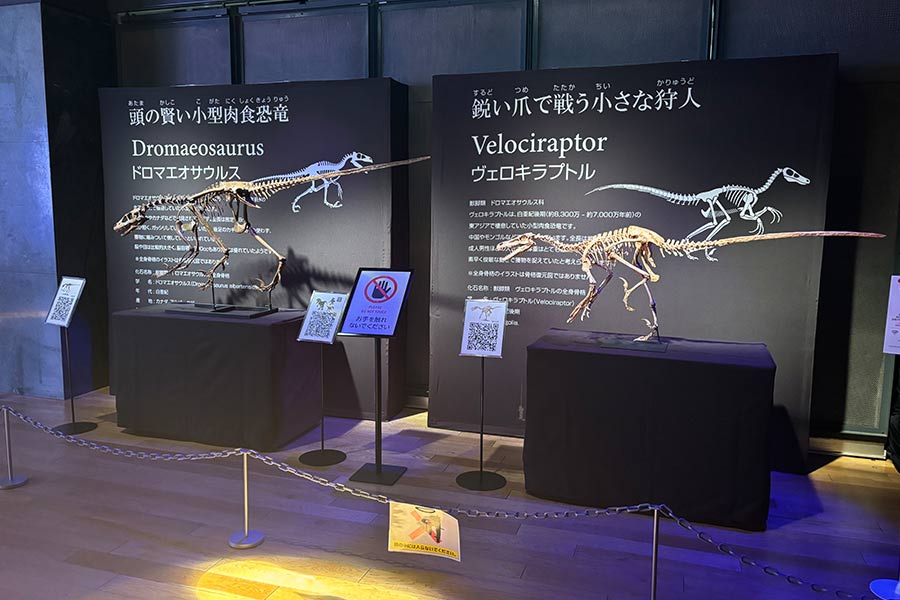 展示物の説明文の記載に使えるバックパネル