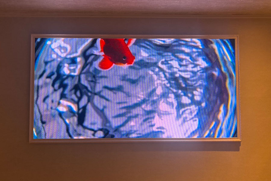 水槽と違いメンテが楽なLEDレインボービジョン