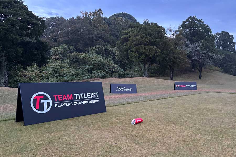 遠目柄でもよく目立つ大型アルポリスタンド