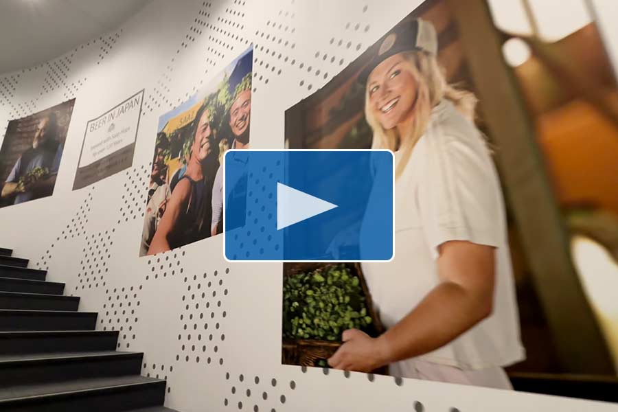 1_万博チェコパビリオン壁紙装飾事例動画サムネイル