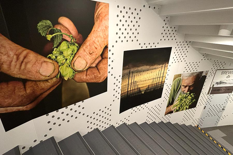 チェコビールのホップの魅力を写真で魅せる壁紙演出