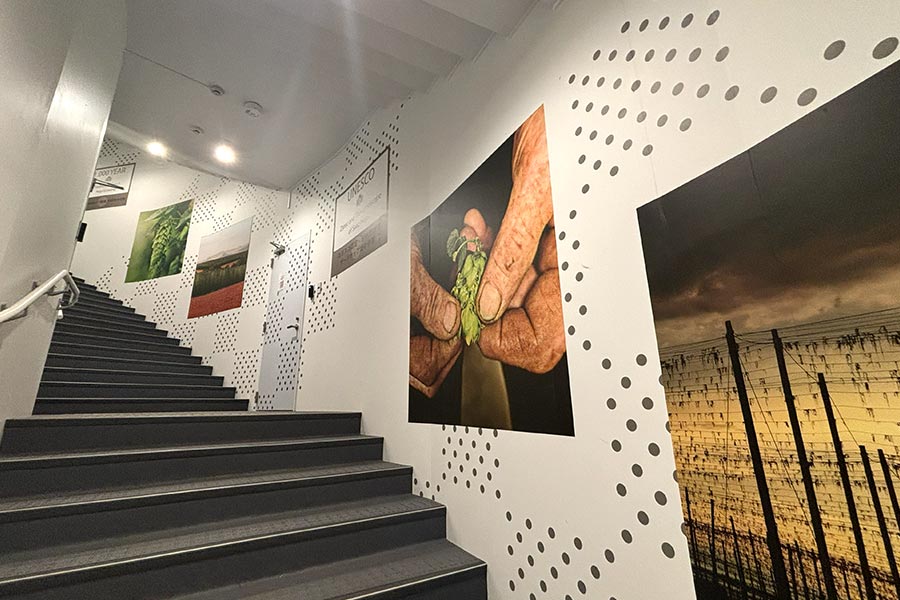 チェコのホップの魅力を伝える関西万博チェコパビリオンの壁紙