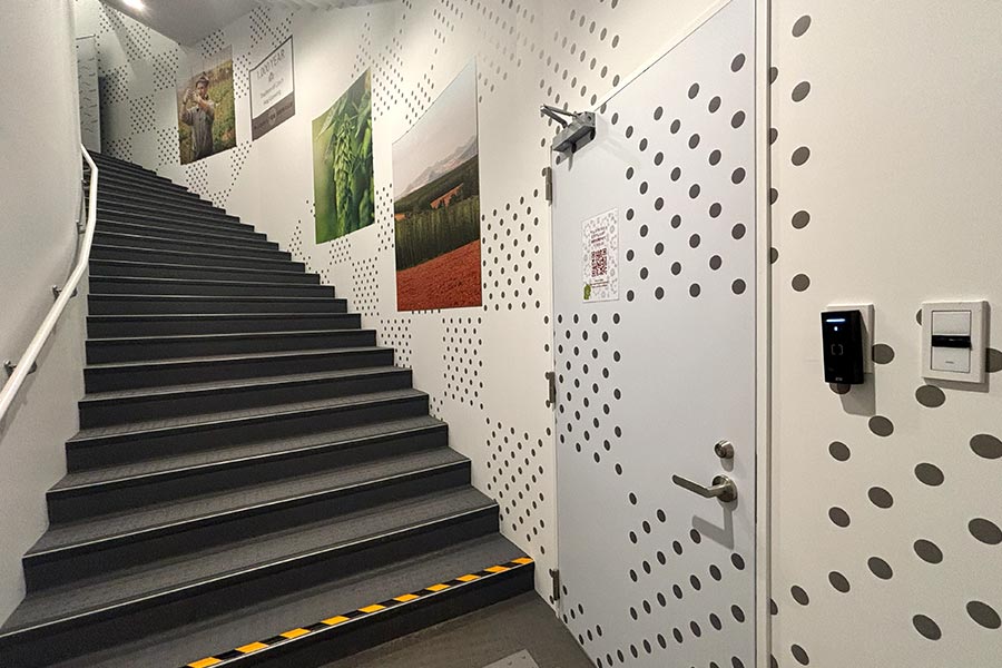 階段も展示の一部になるオリジナル壁紙