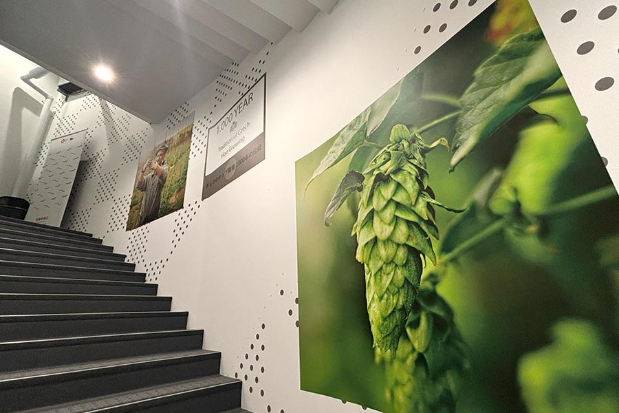 印刷・出力・施工までお任せいただける「俺の壁紙」