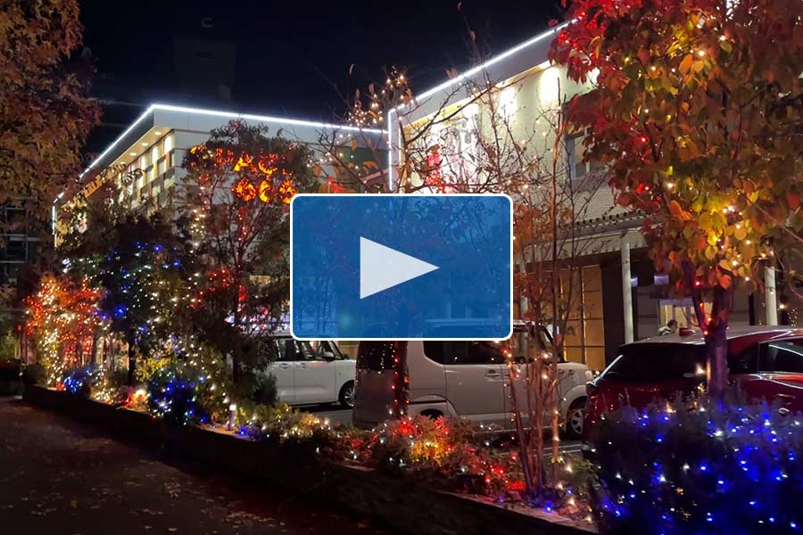 1_イルミネーション動画サムネイル