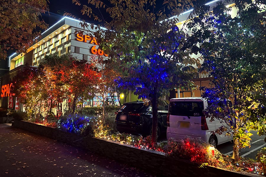 クリスマスのような雰囲気を楽しめる色鮮やかなイルミネーション