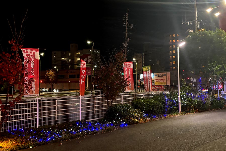 柵付近の植え込みも鮮やかに輝くイルミネーション