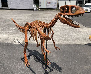 ベータスクス全身