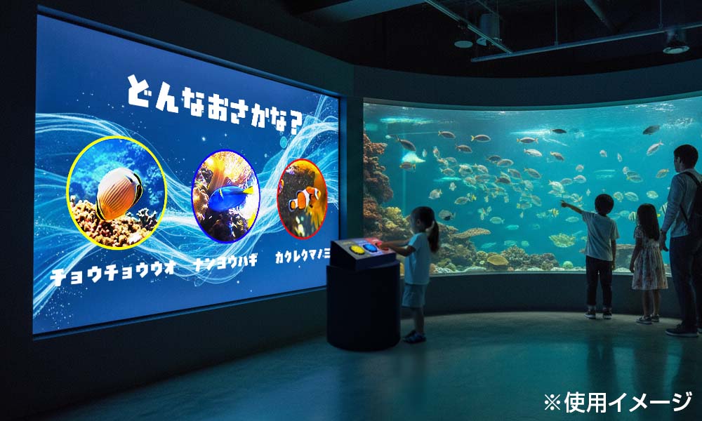 水族館魚解説でのインコススイッチ活用イメージ